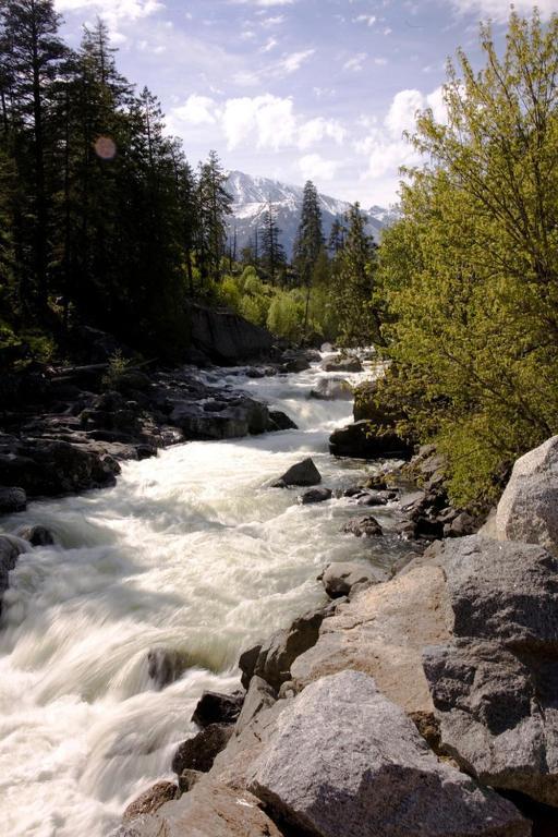 Lake Wenatchee Pine River Ranch B&B المظهر الخارجي الصورة